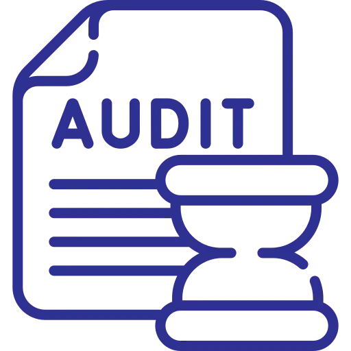 Program Audit and Evaluation
